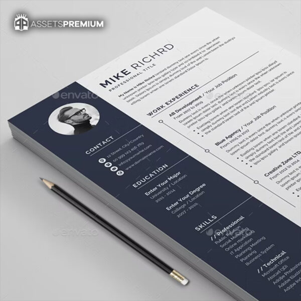 The Professional Resume - Image 3